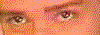 hnsblink02.gif